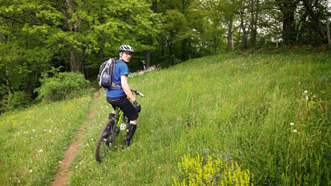 Bike Tour VS. Rental Bike