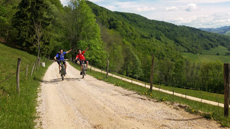 Bike Tour VS. Rental Bike